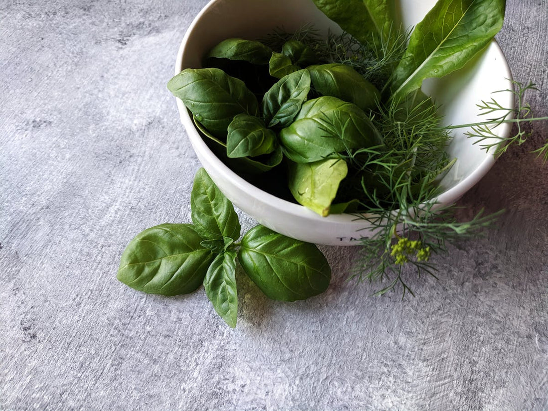 Holistic Therapy for IBS and Gut Health