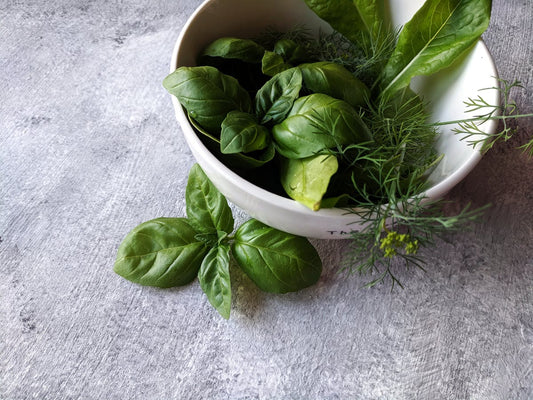 Holistic Therapy for IBS and Gut Health