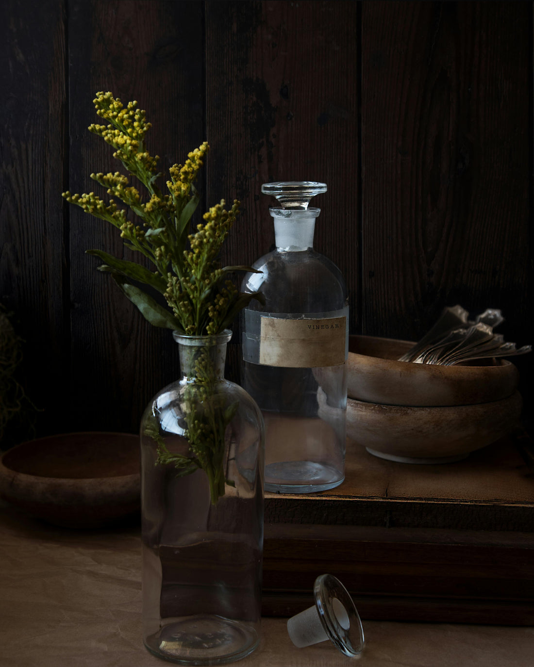 Herbal Medicine for Anxiety Relief: Natural Remedies for a Calmer Mind